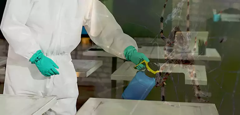 Why Buyers Still Want Homes With Pest Infestations in Pittsburgh, PA?