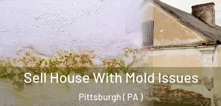  Sell House With Mold Issues Pittsburgh ( PA )